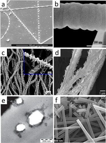 Figure 4. (a) SEM image of fibers with relief texture, produced by photoembossing (adapted from [Citation71]); (b) surface morphology of fast drawn polyacrylonitrile (PAN) nanofiber (adapted from [Citation59]); (c) SEM image of PCL fiber decorated with shish-kebab nanostructure (adapted from ref. [Citation66]); (d) SEM image of electrospun cellulose nanofiber using 0.1 M NaOH solution (adapted from ref [Citation68]); (e) TEM image of hollow ultra-high molecular weight polyethylene (UHMWPE) nanofibers (adapted from ref. [Citation62]); (f) SEM image of aluminum nitride (AlN) hollow nanofibers synthesized by depositing AlN followed by calcination (adapted from ref. [Citation63]).