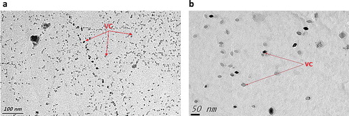 Figure 16. (a) Fine precipitation on increasing V to 0.5  wt-%V, steel tested at 800°C, (b) coarser precipitation of VC, steel tested at higher temperature of 900°C [Citation16].