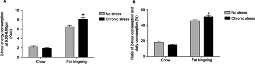 Figure 7 Chronic stress promotes binge eating behaviors in mice fed palatable food. (A) Chronic stress increase daily 2hr energy consumption of palatable food in fat bingeing mice; (B) The ratio of food consumption at 6:00 pm to 8:00 pm of daily food consumption increased in the fat bingeing mice in chronic stress. denotes significant differences between the fat-bingeing group and chronic stress/fat-bingeing group (#P<0.05 and ##P<0.01).