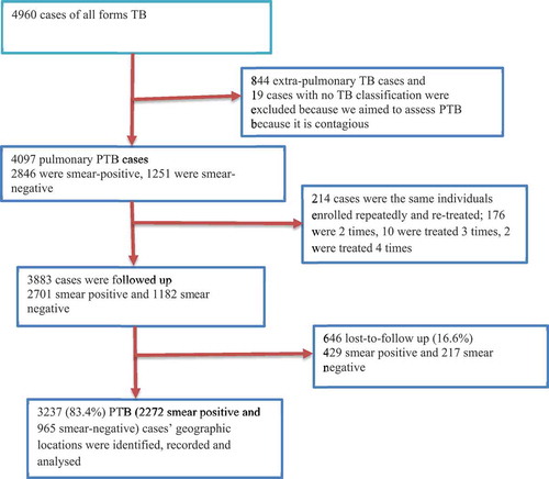 Figure 1. Cohort flow chart of pulmonary TB cases included in the spatial analysis in the Dale district and Yirga Alem town, Ethiopia (2003–2012).