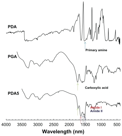 Figure 3 FT-IR analysis of PDA-incorporated nanoparticles.Notes: PDA and PGA were used as a solid powder, and lyophilized PDA-incorporated nanoparticles (PDA5 in Table 1) were used for FT-IR measurement. Carboxylic groups of PGA were decreased by complexation with PDA at PDA5 measurement.Abbreviations: FT-IR, Fourier-transform infrared; PDA, p-phenylenediamine; PGA, poly(γ-glutamic acid).