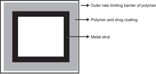 Figure 3 A cross-section through a stent strut.Citation117