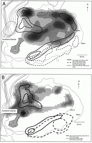 Figure 3  Kernel range of all filtered satellite locations for lactating NZ sea lions from: A, Enderby Island, July to September 1996–1997 (n=6) and B, Enderby Island, January and February 2001–2004 (n = 26). Intensity of shading of kernel ranges represents percentage of time spent in the area displayed as highest concentration of locations (darkest) to lowest concentration (lightest). Bathymetric contours are shown as thin black lines, with the Auckland Islands shelf represented by the 500 m bathymetric boundary. Arrow squid Nototodarus sloanii trawl fishery effort (50% and 95% kernel ranges) from: A, January to April 1996–1997 and B, February to April 2001–2007 are represented by thick black solid lines. Scampi Metanephrops challengeri trawl fishery effort (50% and 95% kernel ranges): A, all year 1996–1997 and B, all year 2001–2007 are represented by dashed black lines. A, all other trawl fisheries activities (50% and 95% kernel ranges), all year 1996–1997 are represented by dotted black lines.