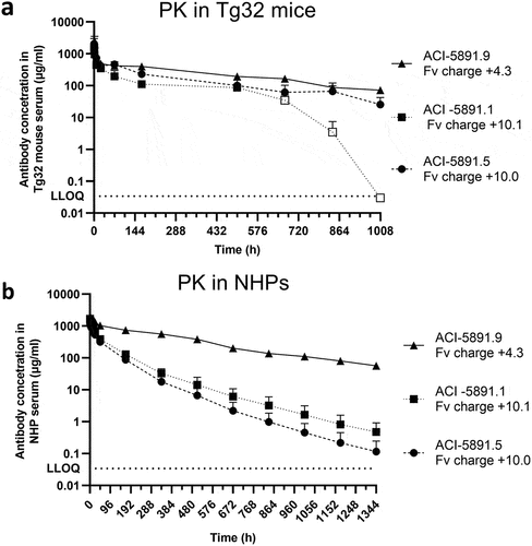 Figure 6. Single-dose pharmacokinetics in Tg32 mice and NHPs. (a) Total antibody serum concentration (y-axis) of ACI-5891.5, ACI-5891.1 and ACI-5891.9 over time (x-axis) in Tg32 mice after IV bolus injection at 40 mg/kg. Data are depicted as the mean ± standard deviation for 3 animals/time point, for a total of 21 animals per group. Empty symbols represent data point for which at least one serum concentration was below the limit of quantification. (b) Total antibody serum concentration (y-axis) of ACI-5891.5, ACI-5891.1 and ACI-5891.9 over time (x-axis) in NHPs after IV bolus injection at 40 mg/kg. Data are depicted as the mean ± standard deviation for 3–4 animals/group. Lower limit of quantification (LLOQ) indicated in dotted line for both graphs.