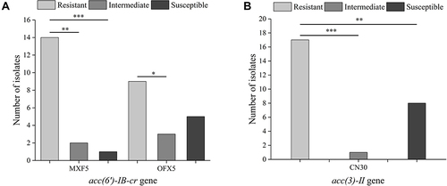 Figure 2 Relationship between resistance genes and antibiotic resistance. Correlation between the acc (6′)-IB-cr (A) and acc (3)-II (B) gene and antibiotic resistance. MXF5, moxifloxacin; OFX5, ofloxacin; CN30, gentamicin. Statistics were achieved by the chi-square test (***p < 0.001, **p < 0.01, *p < 0.05).