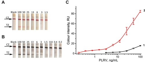 Figure 6. Results of LFIA for PLRV in extracts of healthy potato leaves: (А) Appearance of the test strips after conventional LFIA (CZ, control zone; TZ, test zone). The number above the strip denotes PLRV concentration (ng/mL). (В) Appearance of the test strips after LFIA with silver enhancement. The notations are the same as in (A). (C) Colour intensity of the test zone depending on PLRV concentration. Curves 1 and 2 correspond to the tests strips presented in (A) and (B), respectively.