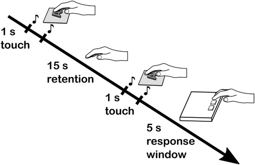 Figure 3. Schematic illustration of a single “same/different” trial in the experiment.