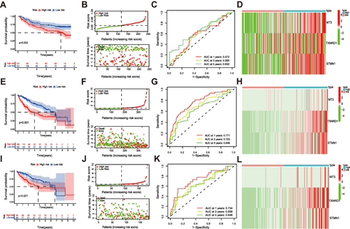 Figure 5 Validation of the prognostic signature in the GSE14520 dataset, testing set and total set. (A) OS of HCC, risk score distribution and survival status (B), time-dependent ROC curve 1-, 3-, and 5-year OS predictions (C), heatmap of expression profiles of 3 ferroptosis-related signature genes between risk groups in GSE14520 (D). (E) OS of HCC, risk score distribution and survival status (F), time-dependent ROC curve 1-, 3-, and 5-year OS predictions (G), heatmap of expression profiles of 3 ferroptosis-related signature genes between risk groups in total set (H). (I) OS of HCC, risk score distribution and survival status (J), time-dependent ROC curve 1-, 3-, and 5-year OS predictions (K), heatmap of expression profiles of 3 ferroptosis-related signature genes between risk groups in test set (L).