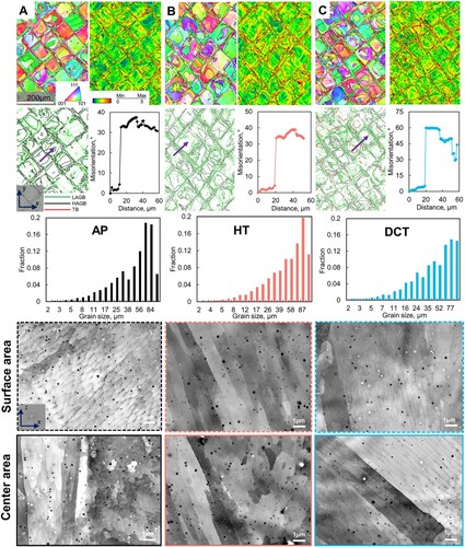 Figure 3. Grain morphology, boundary, and KAM in the X-Y plane by EBSD maps of H-free samples: (a) AP, (b) HT, and (c) DCT. The ECC images show more spidery columnar grains produced by DCT, not seen in AP and HT, in the X-Z plane. L/HAGB and TB stand for low/high angle grain boundary and twin boundary, respectively.