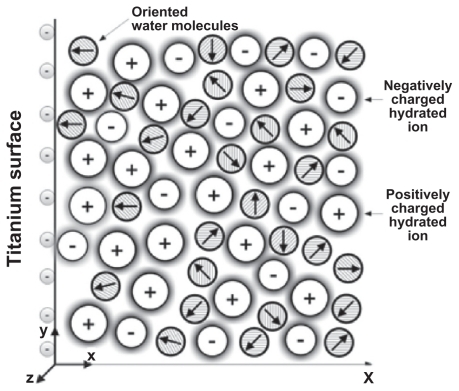 Figure B.1 Schematic figure of an electrical double layer near a negatively charged planar membrane surface. The water molecules in the vicinity of the charged surface are predominantly oriented towards the surface.