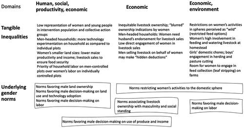 Figure 2. Gender norms and tangible inequalities.