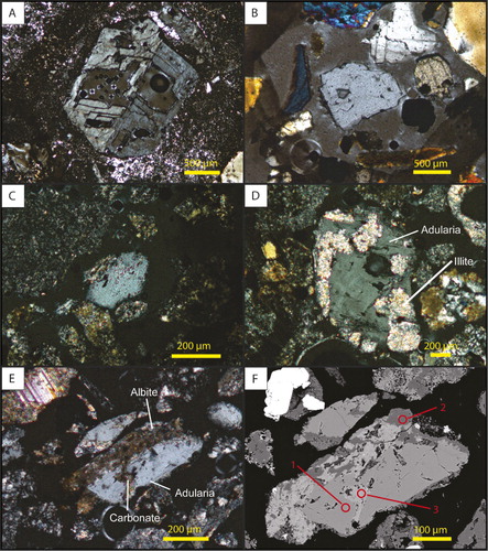 Figure 3 Cross-polarised light photomicrographs and BSE image of potassium feldspars and alteration products. A, TVZ adularia from Ohakuri Dam (FB11-OD8a) used for reference; B, TVZ sanidine from the Whakamaru Group ignimbrites (SB-2028a) used as for reference; C, a typical potassium feldspar observed in the cuttings of NM5 with no obvious twinning; D, pseudomorphs of adularia with fine twinning associated with alteration products such as illite are sometimes observed in NM5; E, photomicrograph; and F, BSE image of a crystal (sample NM5-1600g) partially altered to adularia (medium grey in BSE image), albite (dark grey) and carbonate (light grey). The circles show the approximate region the EMP measurements were taken and analysis numbers correspond to those given in Table 1.