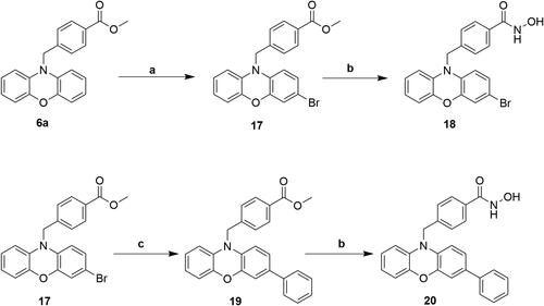 Scheme 5. Reagents and conditions: (a) NBS, THF, -20 °C; (b) i) THF-MeOH, 0 °C ; ii) 50%NH2OH(aq), NaOH, RT; (c) Pd(PPh3)4, K2CO3, THF, EtOH, H2O, N2, Δ.