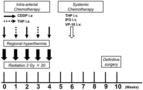 Figure 2. Radio-hyperthermo-chemotherapy protocol. Hyperthermia: Hyperthermia is performed using an 8-MHz radiofrequency capacity heating system (Thermotron RF-8; Yamamoto Vinita, Osaka, Japan) and repeated every week for a total of five courses. The objective of the hyperthermia was to achieve a temperature of 42.5 °C or more for 60 min. Chemotherapy: Chemotherapy is administered by intra-arterial (IA) infusion. During hyperthermia, cisplatin (first, third, and fifth sessions) or pirarubicin (an Adriamycin derivative; second and fourth sessions) are simultaneously injected. After five courses of IA chemotherapy, systemic chemotherapy using ifosfamide, pirarubicin, and etoposide are initiated, followed by surgery. Radiation: All patients are treated with daily radiotherapy at a dose of 40.0 Gy, for a total of 20 sessions. Irradiation is performed just before hyperthermia and chemotherapy on the day of hyperthermia and chemotherapy. The details of each course of RHC are described in Supplemental Figures 1 and 2.