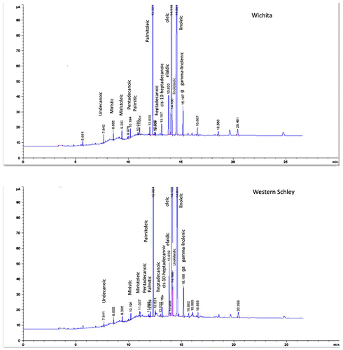 Figure 1. Chromatogram showing elution times and orders for each one of the fatty acids contained in the edible portion of the pecan nut. In different retention times.