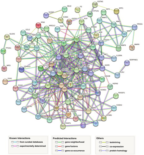 Figure 9. Protein–protein interaction networks (PPINs) of 83 target genes for CAG.