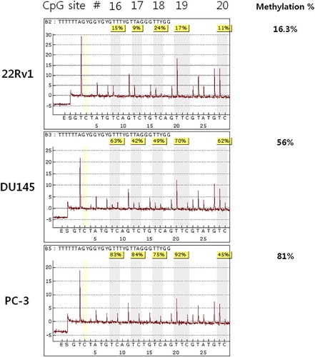 Figure 7. Bisulfite pyrosequencing analysis of the KLOTHO promoter region in the prostate cancer cell lines.