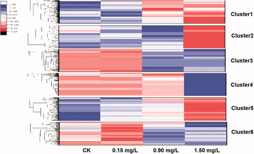 Figure 3. Heat-map showing changes in the expression of DEGs in six sub-clusters at increasing Cd concentrations.