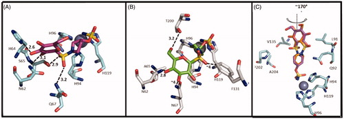 Figure 5. Interactions at the binding site in the structure of CA IX/57 complex (A), CA II/57 complex (B) and CA IX/55 complex (C) Citation29. A) CA IX mimic (cyan) and 57 (magenta) (PDB ID: 4R5A). B) CA II (grey) and 57 (green) (PDB ID: 4R59). C) Overlay of the two conformations of 55 (purple and orange) with CA IX mimic. (PDB ID: 4R5B).