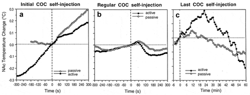 Figure 23. Changes in NAc temperature associated with the initial cocaine self-injection of a session (A), subsequent, regular self-injections (B) and the last self-injection of a session, when the operant level was blocked and drug was unavailable (filled symbols). Each graph also shows the changes associated with the same events when cocaine was injected passively (yoked-control) (open circles). Data were replotted from [Citation223,Citation224].