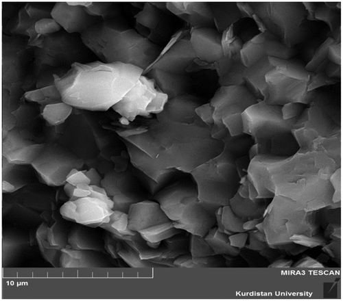 Figure 3. SEM images for raw MDFWA.
