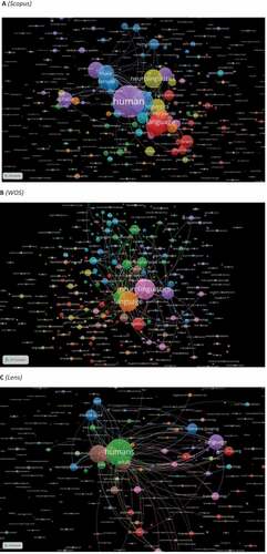 Figure 10. Cooccurrence by all keywords network visualization.