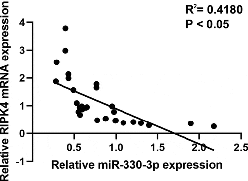 Figure 5. The expression of RIPK4 was inversely correlated with miR-330-3p expression in OV tissues