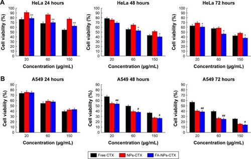 Figure 3 Cytotoxicity of free CTX, NPs-CTX, and FA-NPs-CTX.Notes: (A) HeLa and (B) A549 cells were treated for 24, 48, and 72 hours with CTX formulations. Data are presented as the mean ± SD (n=6). *P<0.05 and **P<0.01 vs NPs-CTX; #P<0.05 and ##P<0.01 vs free CTX.Abbreviations: CTX, cabazitaxel; FA, folic acid; FA-NPs-CTX, FR-targeted nanoparticles loaded with cabazitaxel; FR, folate receptor; Free CTX, cabazitaxel dissolved in ethanol; NPs-CTX, cabazitaxel-loaded nanoparticles.