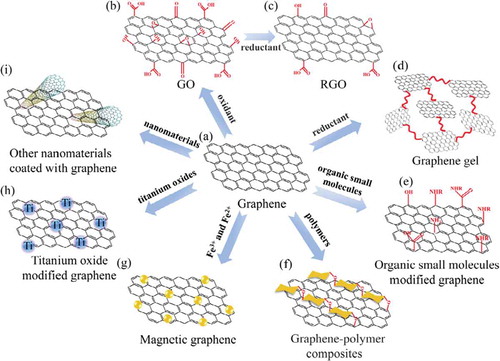 Figure 2. Functionalization of graphene. (a) Graphene; (b), (c), and (d) are GO, RGO and graphene gel; (e) and (f) are organic small molecules and polymers modified graphene materials; (g), (h), and (i) are nanoparticles functionalized graphene materials