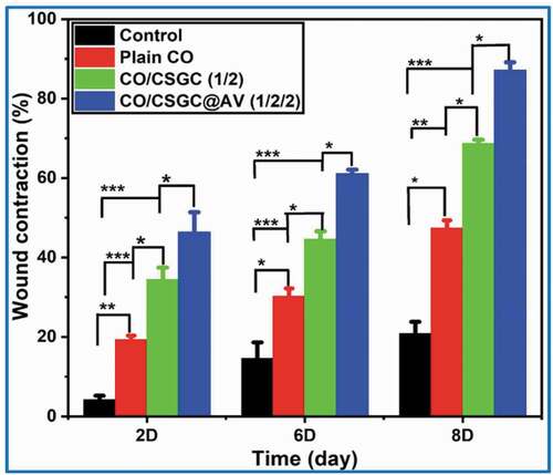 Figure 7. Representative wound contraction percentage using different wound dressings. Data mean ± SD (n = 4). Error bars indicated standard deviation (*p < .5, **p < .01, ***p < .001, (Abdel-Mohsen et al. Citation2020).