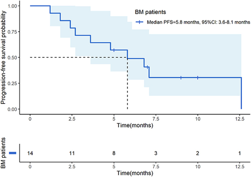 Figure 4 Progression free survival of 14 patients with brain metastasis.