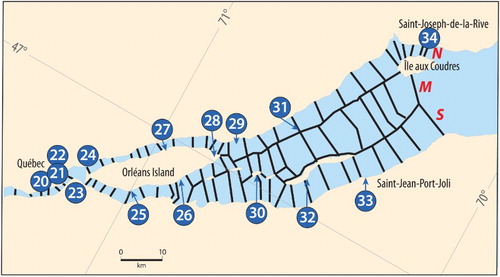 Fig. 2 Position of the water level gauges, flow sections, and meteorological stations in the downstream portion of the model domain.