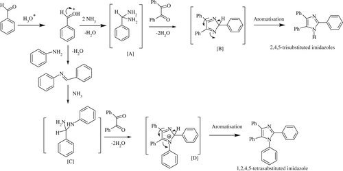 Scheme 4.  Proposed mechanism for the DB18C6-KHSO4 catalyzed synthesis of substituted imidazoles formation.