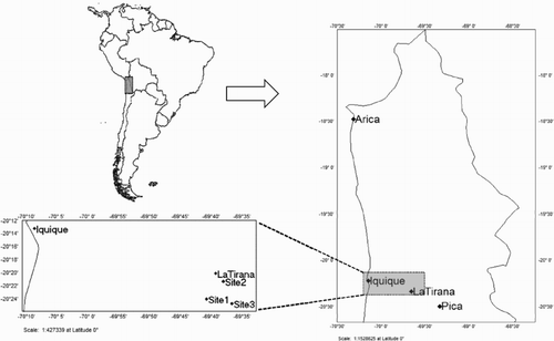 Figure 1. Map of South America showing northern Chile and sites of pellet collection in Pampa del Tamarugal.