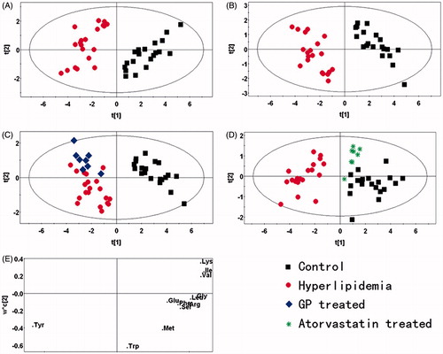 Figure 2. PR analysis of the UPLC/DAD spectra of rat plasma. (A) PCA analysis of the spectra of plasma from normal and model rats (R2X = 0.752, Q2 = 0.574). (B) Scores plot of the PLS-DA analysis of the spectra from the plasma of normal and hyperlipidaemic rats (R2X = 0.749, R2Y = 0.939, Q2 = 0.92). (C) Scores plot of the PLS-DA analysis of the spectra from the plasma of normal, hyperlipidaemic and GP-treated rats (R2X = 0.776, R2Y = 0.822, Q2 = 0.738). (D) Scores plot of the PLS-DA analysis of the spectra from the plasma of normal, hyperlipidaemic and atorvastatin-treated rats (R2X = 0.777, R2Y = 0.758, Q2 = 0.668). (E) Loading plot of the PLS-DA analysis of the spectra from the plasma of normal and hyperlipidaemic rats (box: control group; dot: model group; diamond: GP-treated group; star: atorvastatin-treated group).