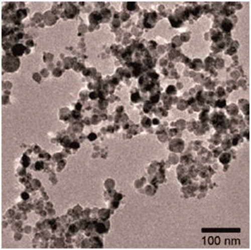 Figure 2. TEM Image of TiO2 nano particles.