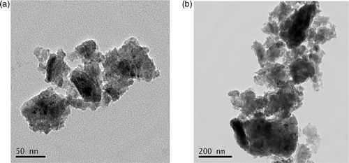Figure 2. Sizes of TiO2 particles observed by TEM: (a) nano-anatase TiO2 particles and (b) bulk TiO2 particles.