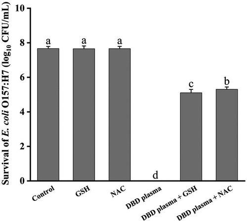 Figure 8. Survival of E. coli O157:H7 cells after being treated with DBD plasma for 60 s in the presence of antioxidant (GSH or NAC). Error bars represent standard deviation for three repetitions. Different letters above bars mean significant differences according to the LSD test at p = .05.