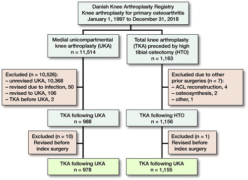 Figure 1. Flowchart depicting the formation of the study cohort.