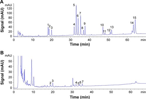 Figure 4 The HPLC analysis of standard solution of (A) different rare ginsenosides and Re-CDs (B).Notes: The kind of ginsenoside the number represents is as follows: (1) 20(S)-Rh1; (2) Rg2; (3) 20(R)-Rh1; (4) Rg6; (5) F4; (6) Rk3; (7) Rh4; (8) 20(S)-Rg3; (9) 20(S)-Rg3; (10) Rk1; (11) Rg5; (12) 20(S)-Rh2; (13) 20(R)-Rh2; (14) Rk2; (15) Rh3. There were six kinds of rare ginsenosides derived from ginsenoside Re in Re-CDs solution.Abbreviation: Re-CDs, Re-based carbon dots.