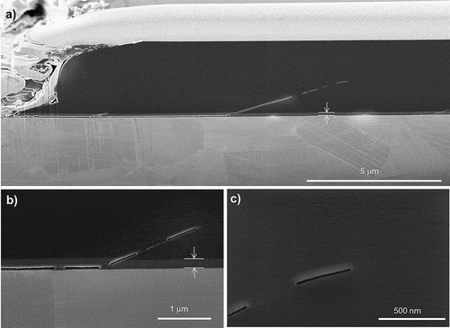 Figure 9. SEM cross-section of a delamination observed in DLC/Si-DLC(1.0%O2)/CoCrMo after 13,500 cycles in PBS at 37 °C, 12 Hz and 4 N. (a) Overview; (b) beginning of a shear band at the end of a crack at the interface Si-DLC/CoCrMo; (c) cavities at the end of a shear band in DLC. The thickness of the Si-DLC interlayer is marked by arrows (210 nm).