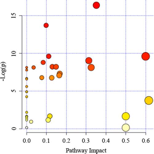 Figure 5 Summary of pathway analysis by Metaboanalyst online. The further its location is from the (0,0), the more significant the pathway is.