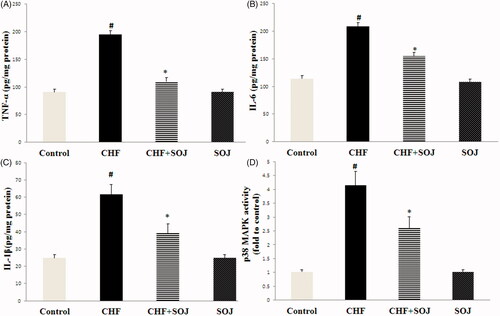 Figure 6. SOJ treatment reduced inflammatory response and p38 MAPK activation in CHF rats. Data are expressed as mean ± SD, #p < 0.05 versus control group, *p < 0.05 versus CHF group.