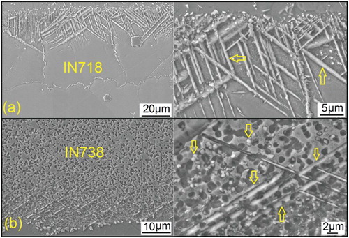 Figure 3. Diffusion brazing of IN718/Ni–15Cr–4B/IN738 at the bonding temperature of 1373 K for 30 min showing diffusion-affected zone (DAZ) microstructure at (a) IN718 side and (b) IN738 side. Arrows indicate the boride precipitates. The volume fraction of the boride precipitates in DAZ of IN718 is significantly higher than that of in IN738 side confirming the higher ‘boride-precipitation potential’ of the IN718 compared to the lN738.