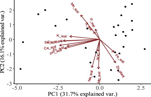 Figure 4. Principle component analysis load plot of soil extractable nutrients in relation to zinc plant concentration. Data are collected from 28 farms in Northwest B&H.