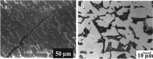 Figure 4. Morphology of SCC on steel pipeline surfaces; (a) SCC of transgranular mode; (b) SCC of intergranular mode (Abubakar et al., Citation2022).