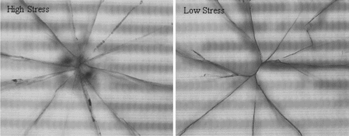 Figure 1. Crack branches with high and low stress.