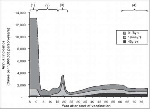 Figure 1. Modeled phases of varicella infection after vaccination (used with permission from Brisson et al.Citation2) Brisson M, Edmunds WJ. Med Decis Making, 23(1), pp. 76–82, copyright ©2003 by (SAGE Publications). Reprinted by Permission of SAGE Publications. (1) Pre-vaccination phase; (2) Honeymoon phase (Rn < 1); (3) Post-honeymoon epidemic (Rn > 1); (4) New equilibrium.