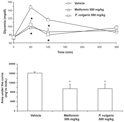 Figure 5 Similar reducing effect of a Phaseolus vulgaris extract and metformin on time-course of glycemia (top panel) and area under the curve of the time-course of glycemia (bottom panel) in Wistar rats given a 1-hour (corresponding to the 0- to 60-minute time interval) access to a starch-enriched diet and water. Each point or bar is the mean ± SEM of n = 7 to 8 rats. ANOVA results – Time-course: Ftreatment (2,20) = 9.13, P < 0.005; Ftime (2,40) = 21.95, P < 0.0001; Finteraction (4,40) = 10.95, P < 0.0001; Area under the curve: F (2,20) = 7.23, P < 0.005. *P < 0.005 with respect to values of vehicle-treated rats at the same time interval (Newman-Keuls test); +P < 0.05 with respect to values of vehicle-treated rats (Newman-Keuls test).