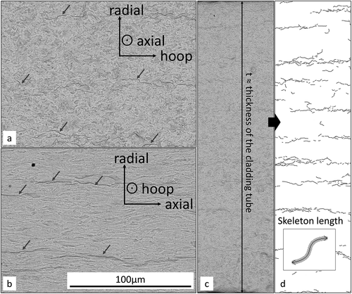 Figure 9. Typical microstructure of electro-polished samples of (a) horizontal cross-section and (b) vertical cross-section. (c) Example of image survey along radial direction on horizontal cross-section, and (d) its resultant image after contrast extraction (sample #16 in Table 1).